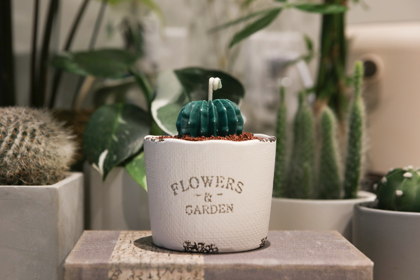 Cup Candle Workshop 杯裝蠟燭手作課