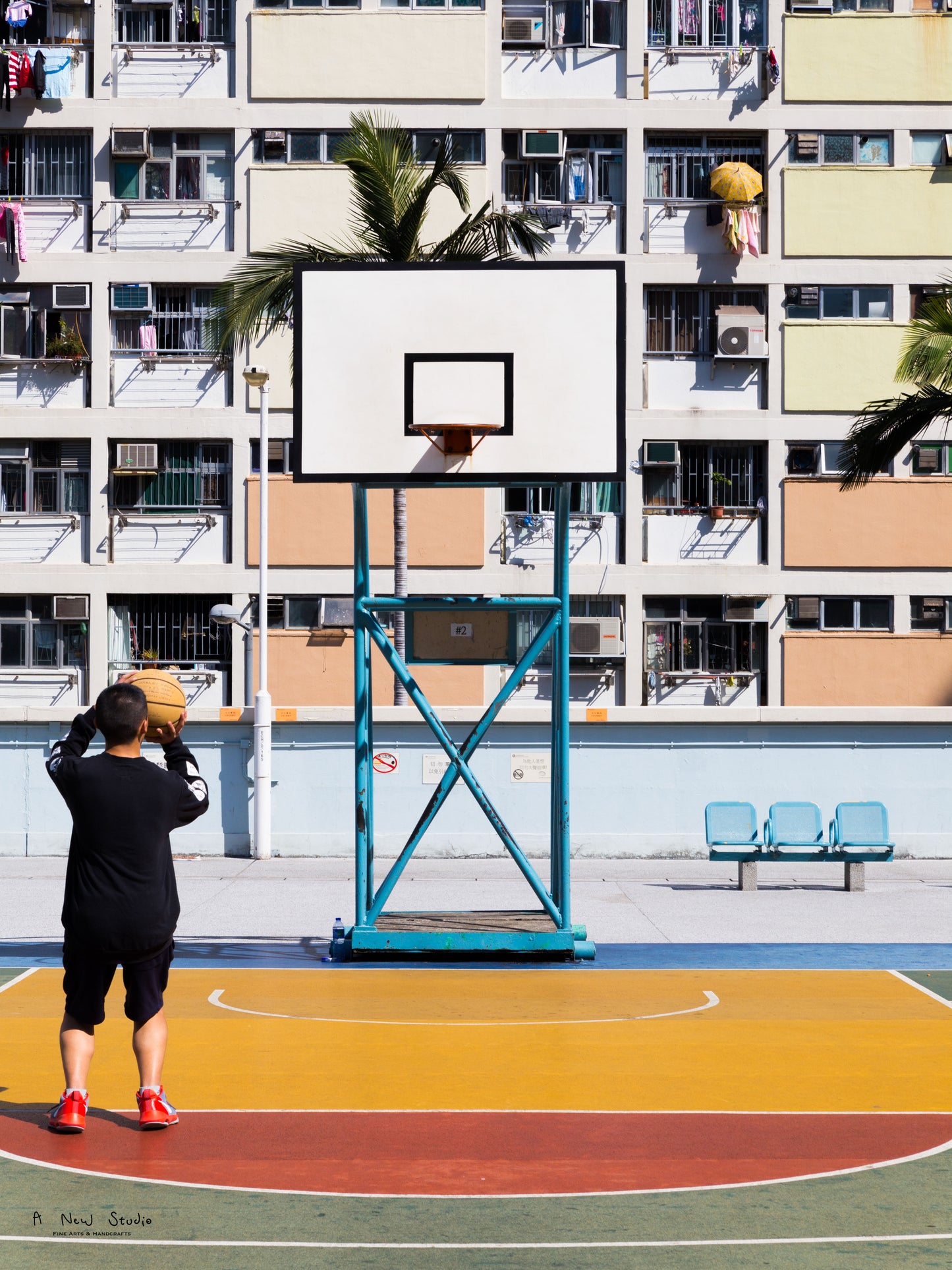 Photography: Living Under the Rainbow, 2018