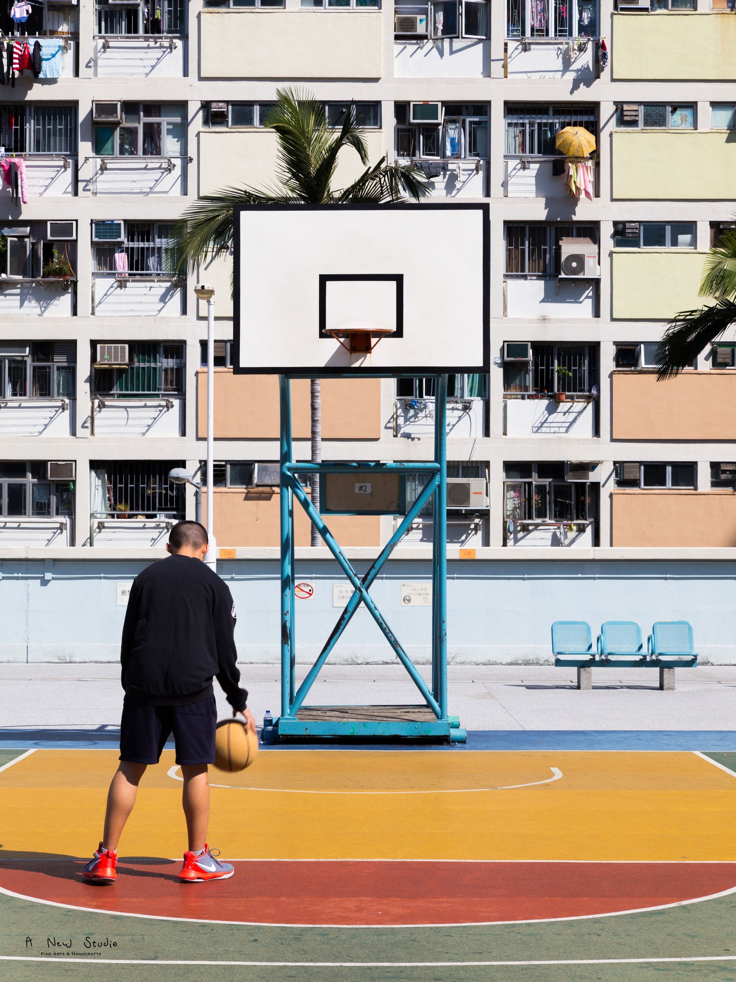 Photography: Living Under the Rainbow, 2018