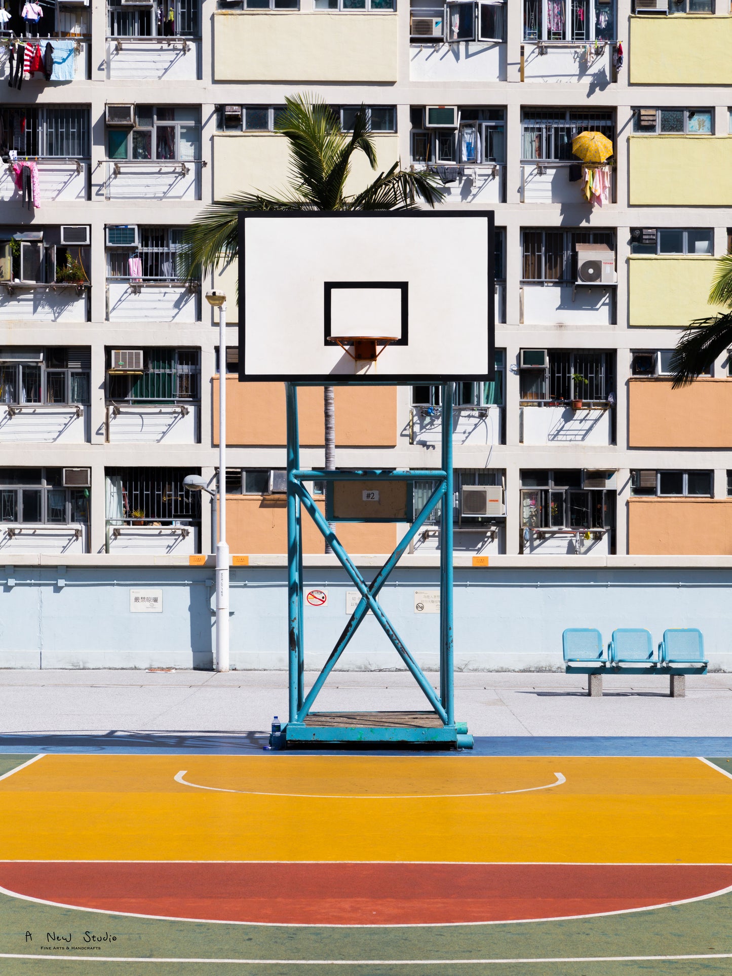 Photography: Living Under the Rainbow, 2018