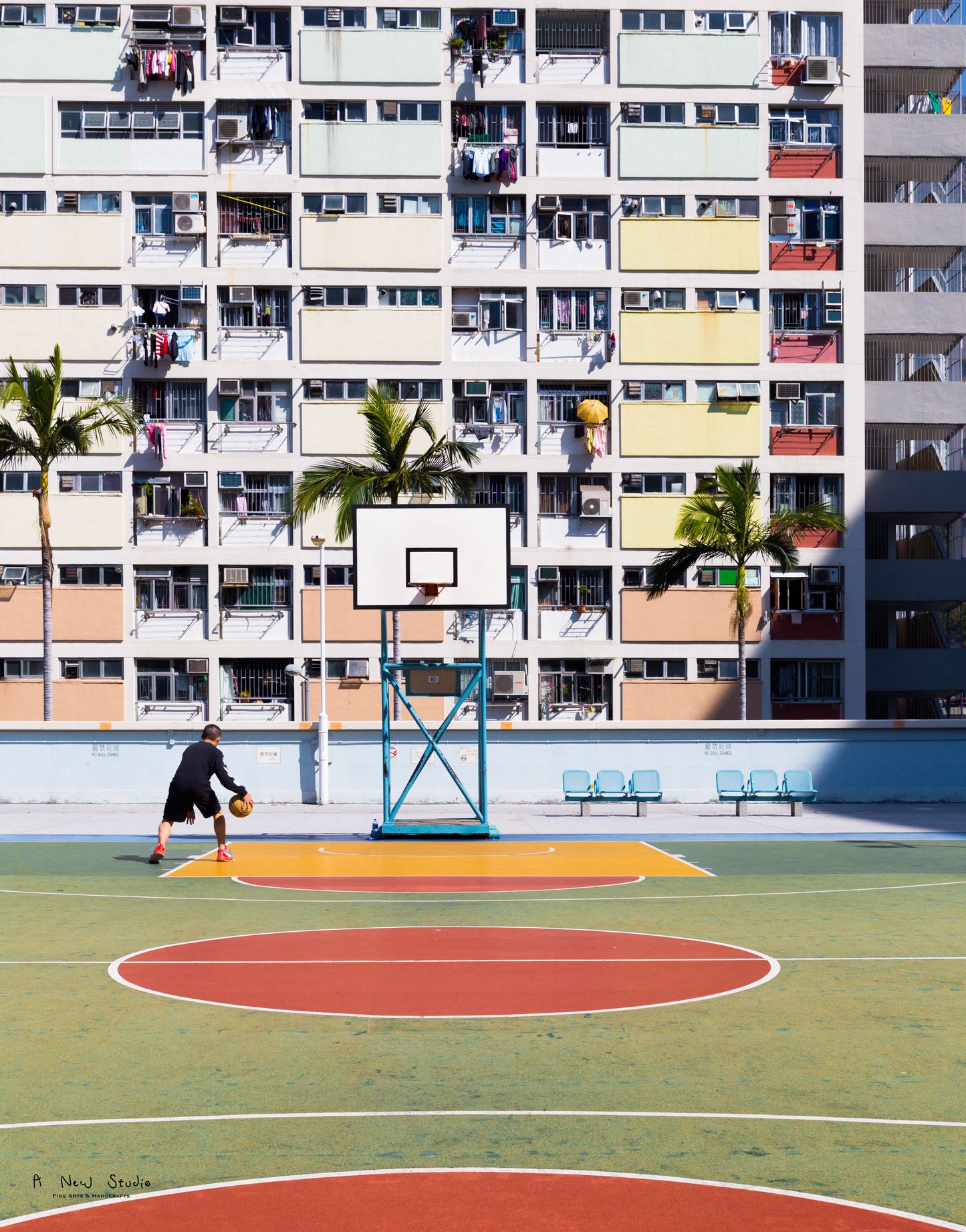 Photography: Living Under the Rainbow, 2018