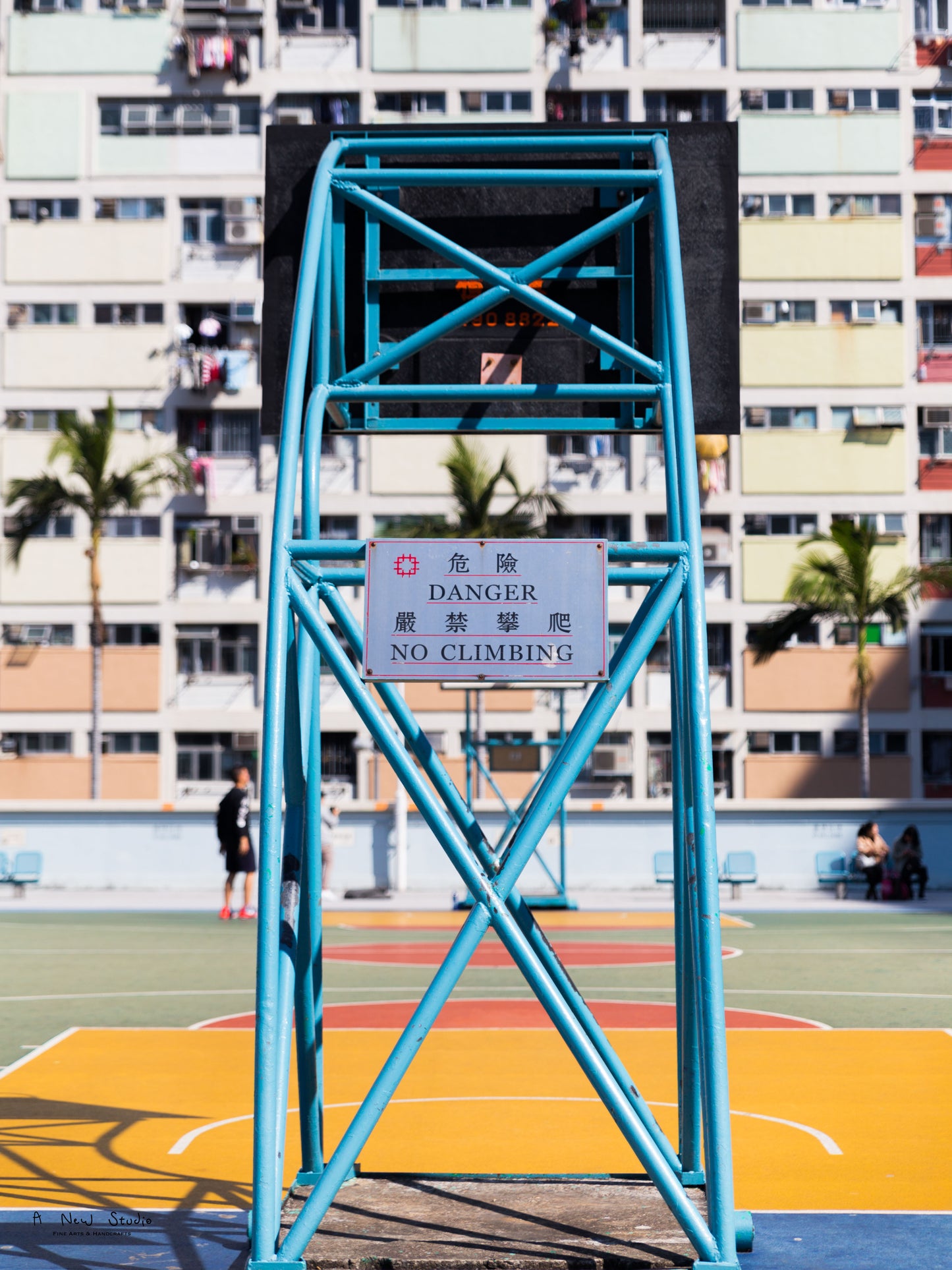 Photography: Living Under the Rainbow, 2018