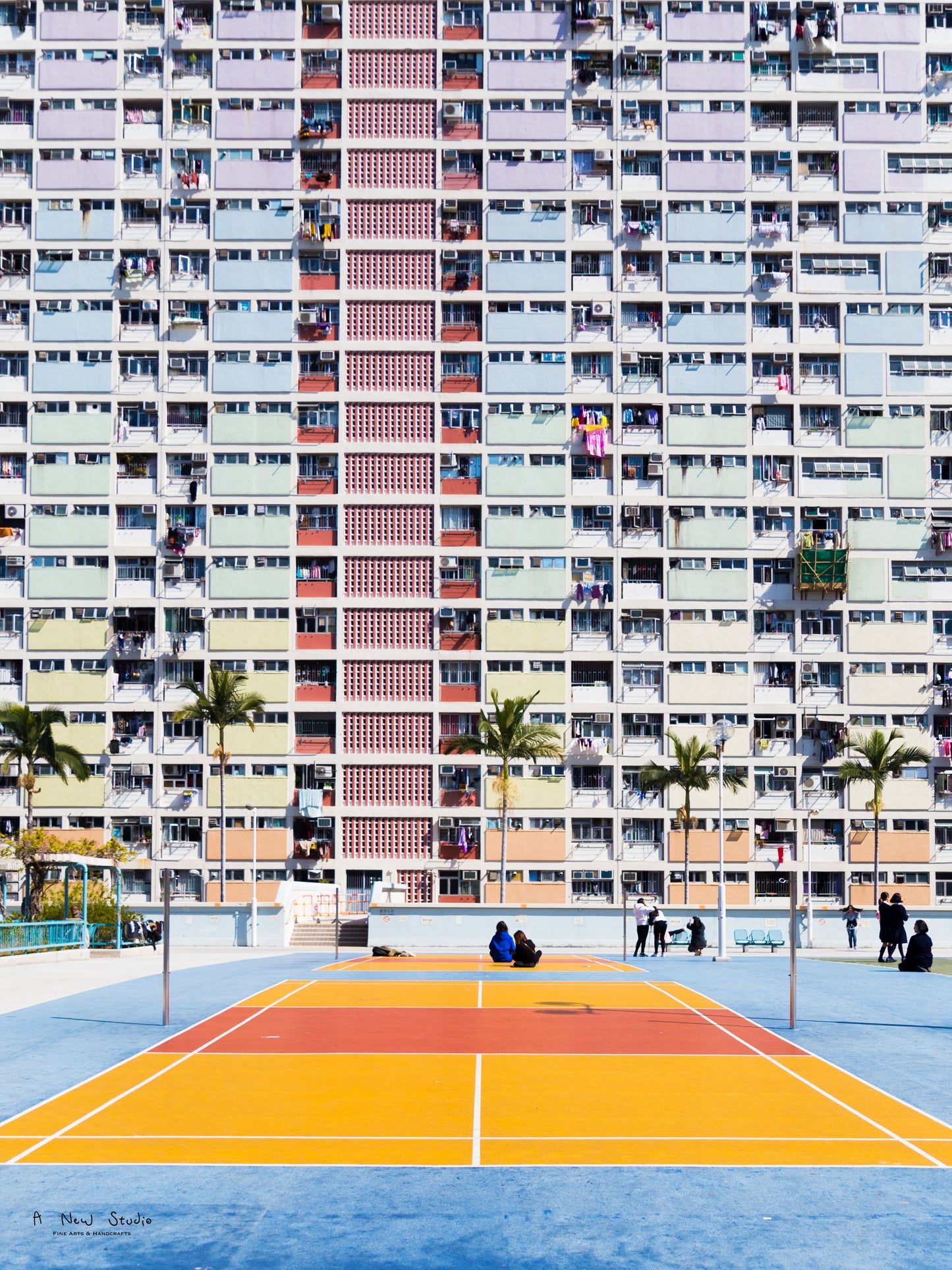 Photography: Living Under the Rainbow, 2018