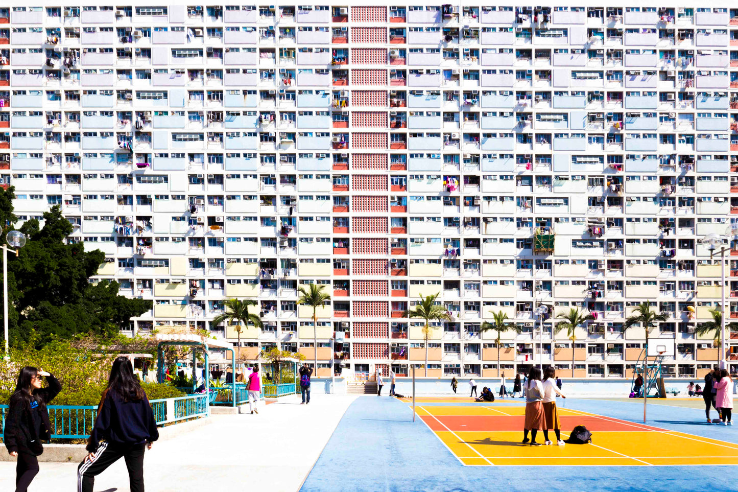 Photography: Living Under the Rainbow, 2018