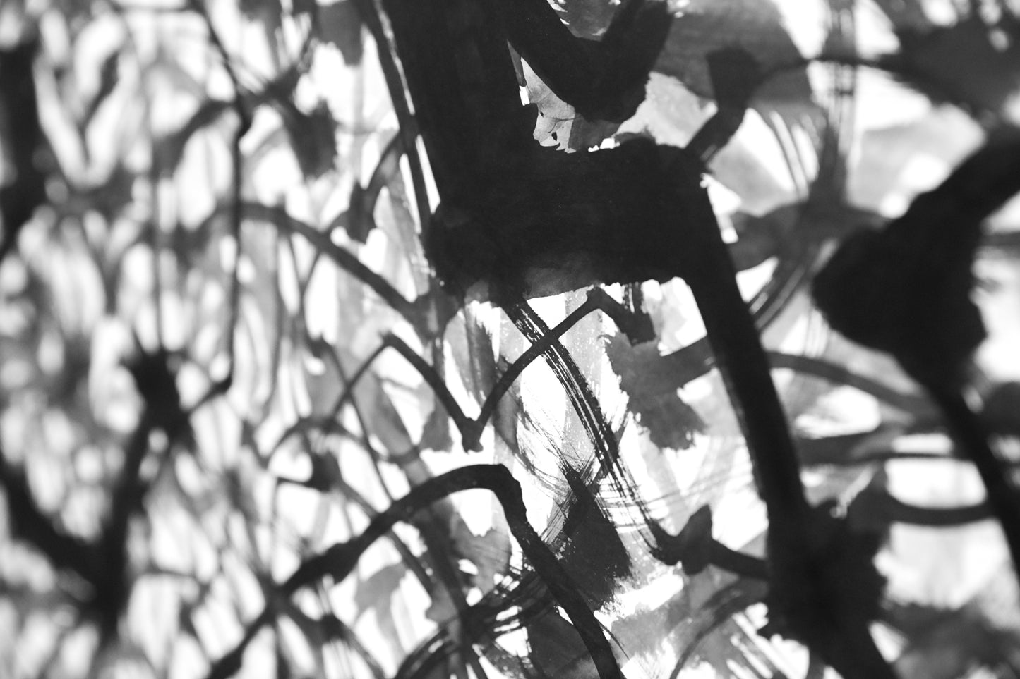 Cycle-Grape Branches 迴-葡萄枝幹