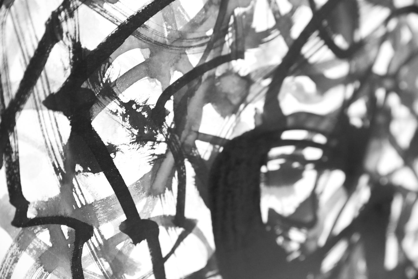 Cycle-Grape Branches 迴-葡萄枝幹