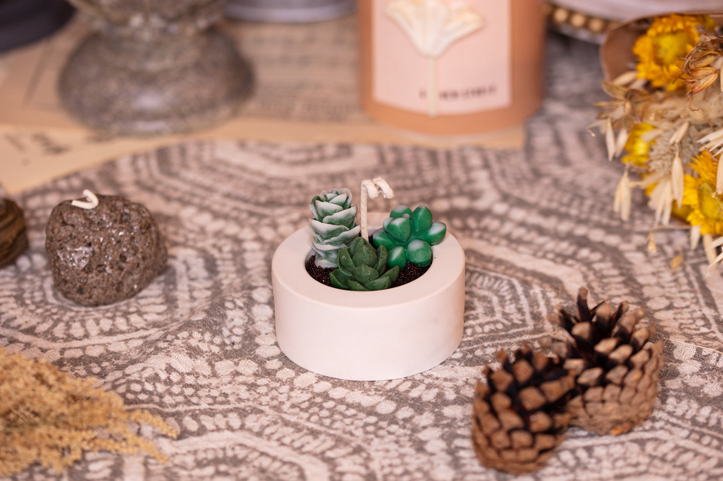 Succulent Plant Candle Workshop多肉植物蠟燭製作