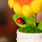 Small Sunflower Crochet