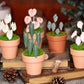 Anthurium Warocqueanum- Clay Plant