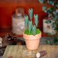 Anthurium Warocqueanum- Clay Plant