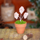 Begonia Rex- Clay Plant
