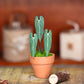 Anthurium Warocqueanum- Clay Plant