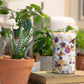 Embedded Flower Candle Workshop 乾花蠟燭手工課