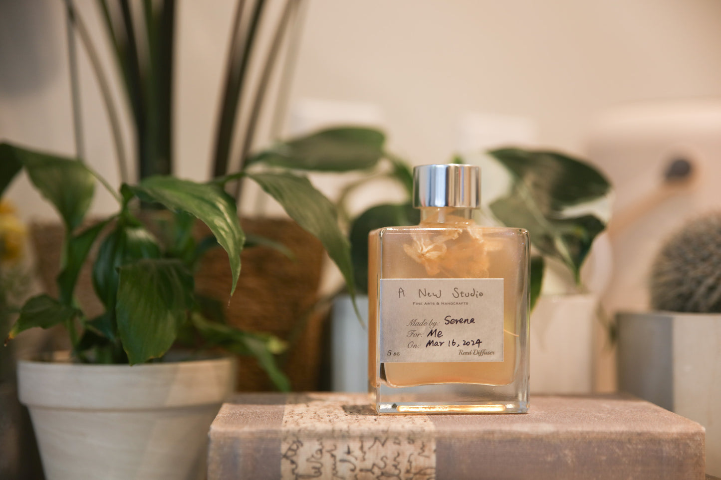 Private Workshop (8–15 Guests)